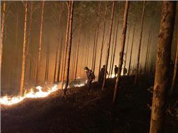 Lữ đoàn Công binh 575 tham gia chữa cháy rừng tại Bắc Giang